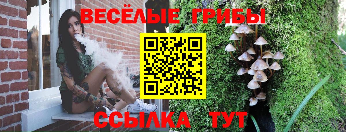 Сарапул  Галлюциногенные грибы ЛСД  Вход с VPN 