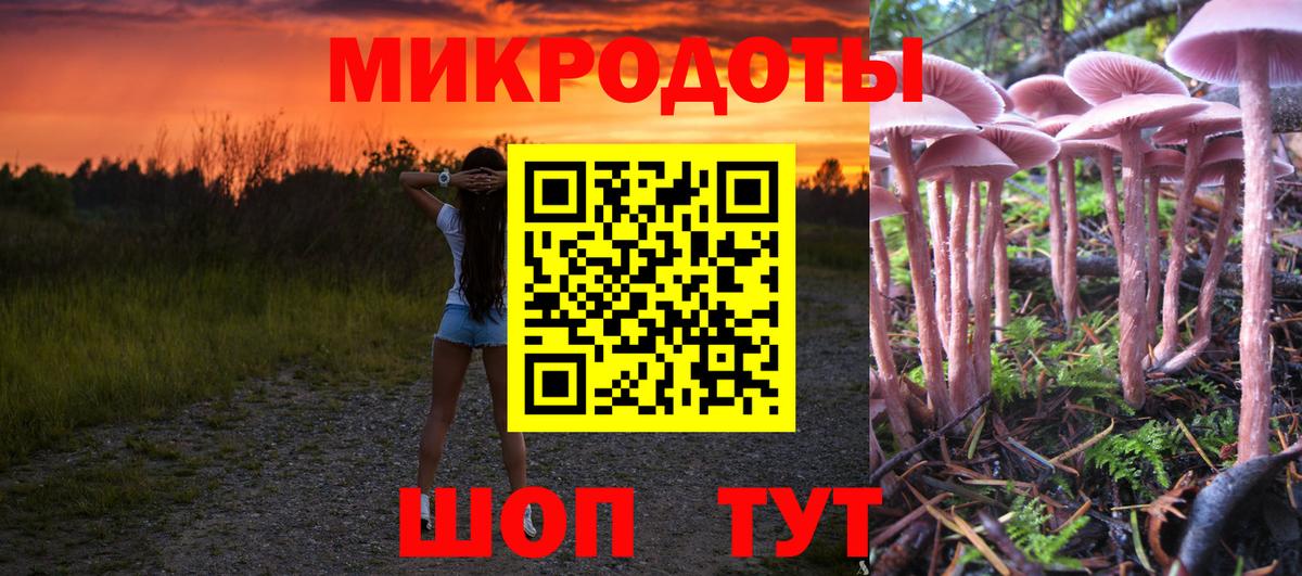 Псилоцибиновые грибы мицелий Сарапул